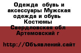 Одежда, обувь и аксессуары Мужская одежда и обувь - Костюмы. Свердловская обл.,Артемовский г.